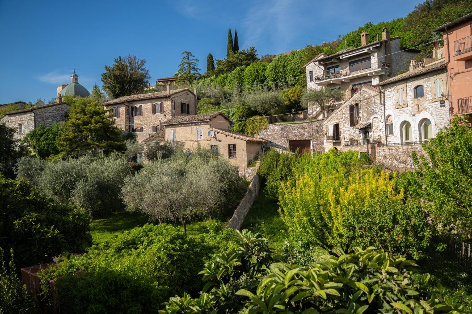 Hotel Belvedere Assisi Eksteriør bilde