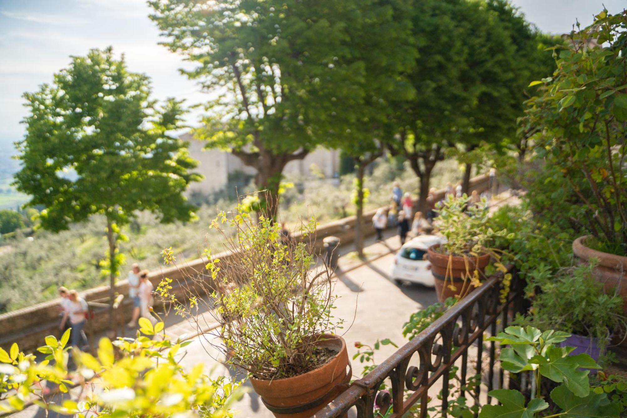 Hotel Belvedere Assisi Eksteriør bilde